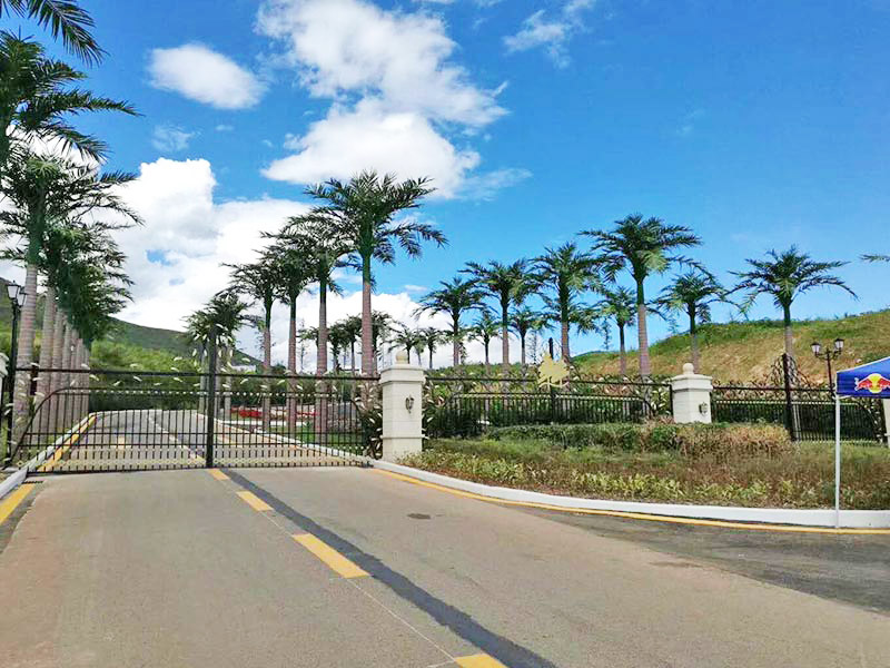 湛江仿真树